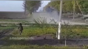 Ребёнок отдаёт честь военной колонне