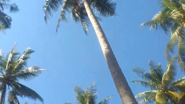 О. Ко Куд.mp4 смотреть онлайн