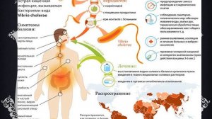 Гигиена органов пищеварения