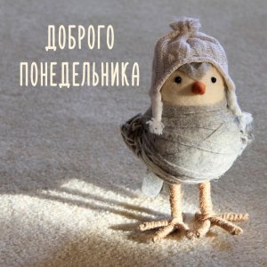 Доброго утра понедельника и удачной недели!