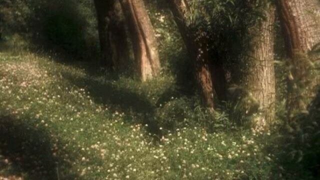 Lucid Dream Method ⚘ Shifting Submiminal (+theta Waves)