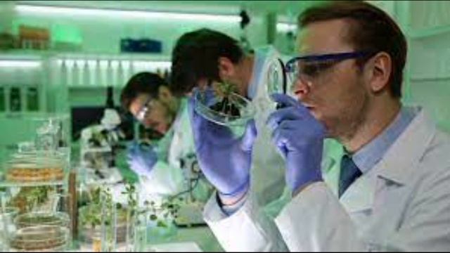 20 октября / Почему арбуз ягода? смотреть онлайн