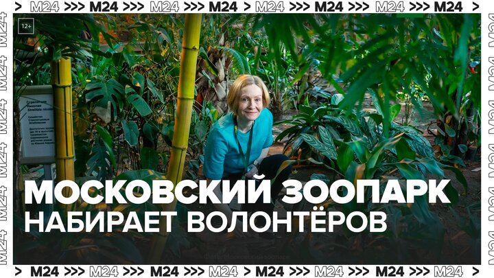 Московский зоопарк объявил о наборе волонтеров - Москва 24