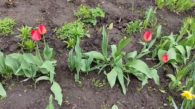 #временагода#весна        ВЕСНА ОБОЖАЕМАЯ!