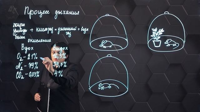 Процесс дыхания. 7 класс. смотреть онлайн