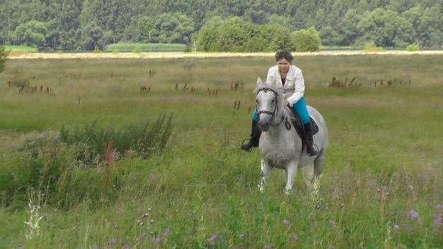 Прогулка на лошадях! 16 июля 2015 смотреть онлайн