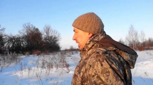 Человек и волк: Поддаются ли животные гипнозу? Помощь животным