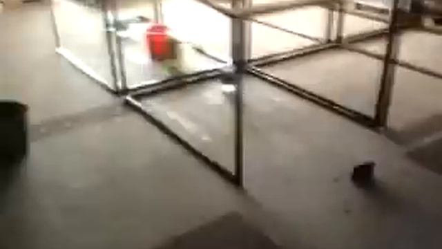 Очень серьезный потоп в магазине, испортилась куча дорогостоящего оборудования. смотреть онлайн