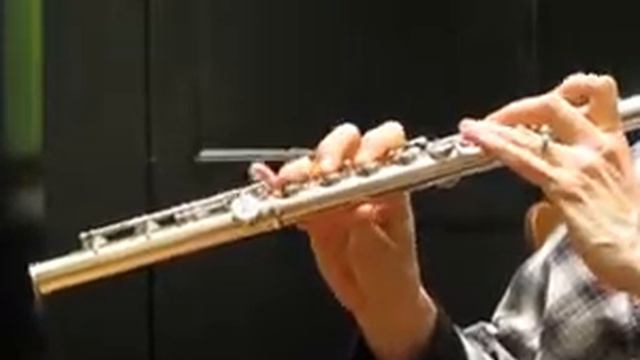 Muramatsu AD Flute for Sale (Used) - Demo of Response смотреть онлайн