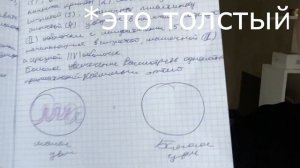 КАК ПОДГОТОВИТЬСЯ К ЭКЗАМЕНУ ПО ГИСТОЛОГИИ С НУЛЯ ЗА НЕДЕЛЮ? | Как выучить гистологию в медицинском