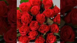 Флёра Шарипова. Апа, бэхетле бул - Слова Ильнура Галина, музыка Флёры Шариповой