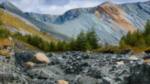 Джеймс Ласт 《Одинокий пастух 》Музыка для релакса