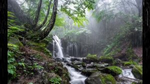 ОЁ СИГОР Ё (ТАМОКУ) КАШИДАН ДАР ИСЛОМ ДУРУСТ АСТ?