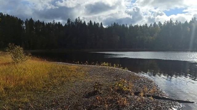 Озеро Сиркойнъярви, окрестности поселка Райконкоски, Карелия