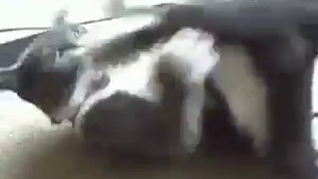 Левая нога совсем отбилась от рук смотреть онлайн