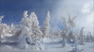 Времена года. Южно-Уральский заповедник  _ South Ural Reserve, Russia.