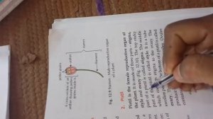 class 7th sci ch 12 day 45 by mam Jyotshnarani swain