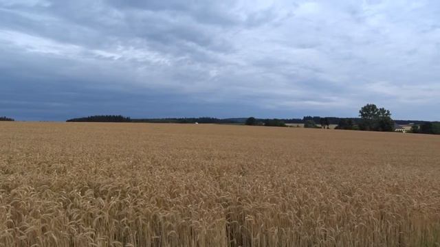 Sony CyberShot DSC-HX400 ,ZOOM смотреть онлайн