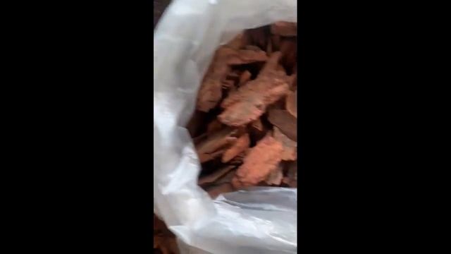 Мульча. Кора сосны и лиственницы оптом и в розницу смотреть онлайн