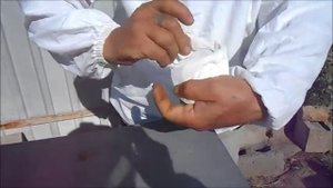 Обрабатываю пчёл муравьиной кислотой .