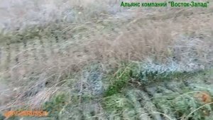 Жесть-испытания вездехода BV-206 Лось