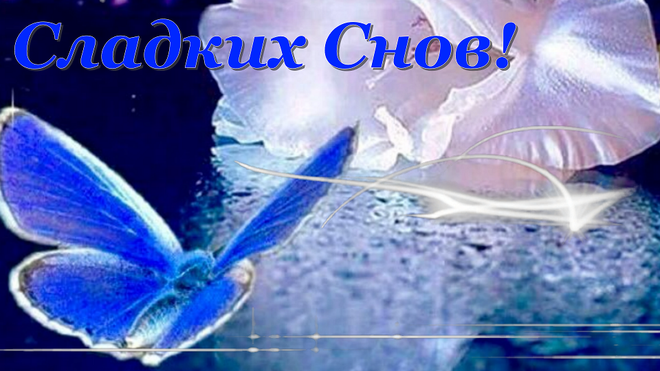 Красивое пожелание спокойной ночи! Доброй ночи, сладких снов тебе желаю! Музыкальная открытка.