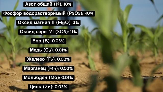 Microstar PZ с Микрогранулятором TECHNIK PLUS - путь к стабильным и высоким урожаям кукурузы