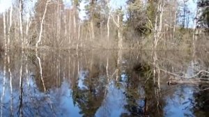 Разливы. р. Шуя Карелия.