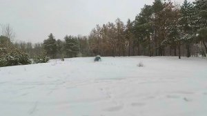 AUDI 100 C4 quattro по снегу