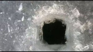 Зимняя рыбалка на реке Молога 2020. Окунь как из пулемёта. Подлёдная рыбалка в Вологодской области