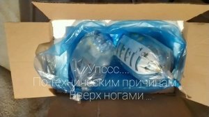 Скалярия Рио Нанай F1. Продажа малька продолжается .