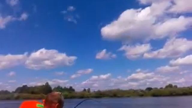 Сом 100 кг смотреть онлайн