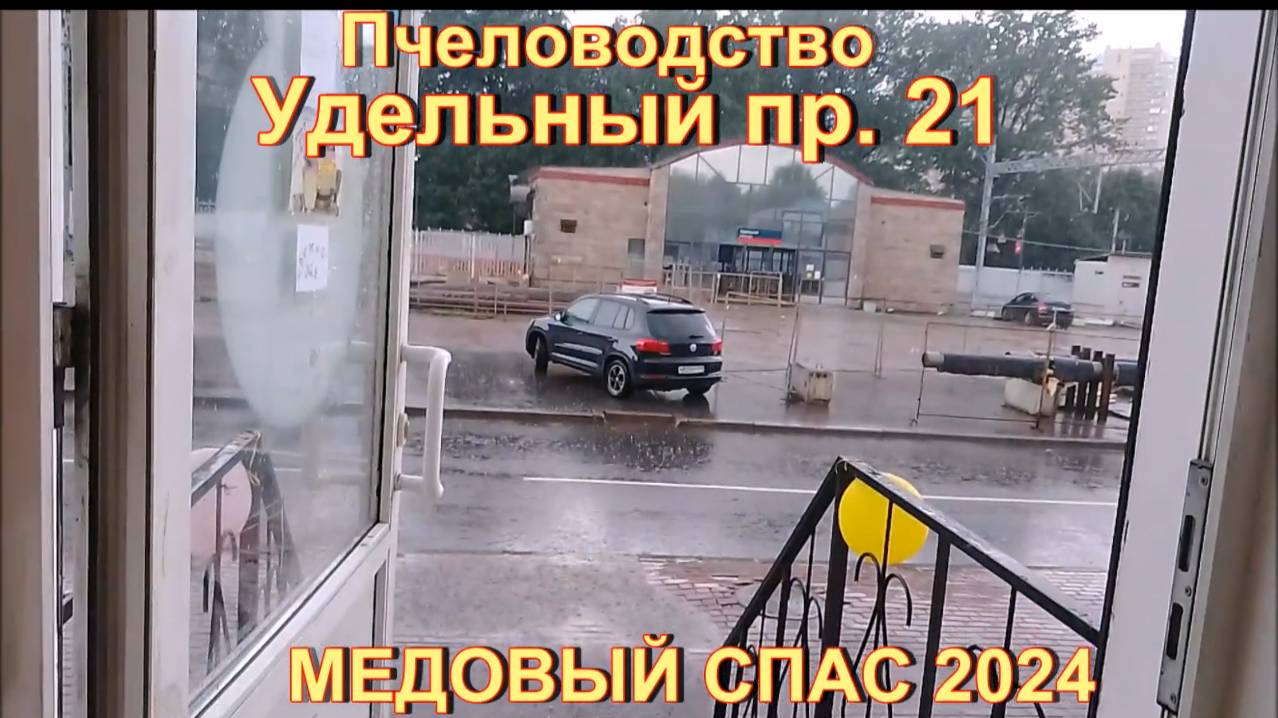 МЕДОВЫЙ СПАС 2024 . Удельный 21.