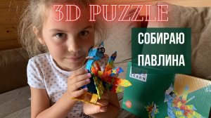 Таисия собирает объемный пазл ПАВЛИН 🦚 3D PUZZLE