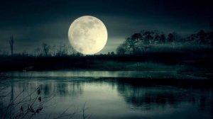 Лунный свет