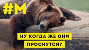 #МОНТЯН: Они все еще надеются пропетлять? ?