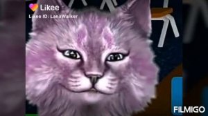 //клип//для Кошки Ланы и Кота Лео:3