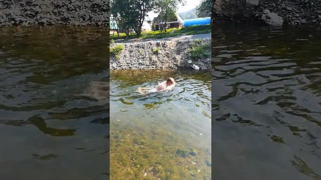 Мурадым 1 часть смотреть онлайн