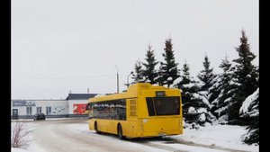 Автобусы МАЗ-203.047,и 203.147