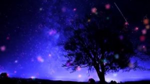 Темные отголоски-Дмитрий Бондарь и группа"Scary Tales".