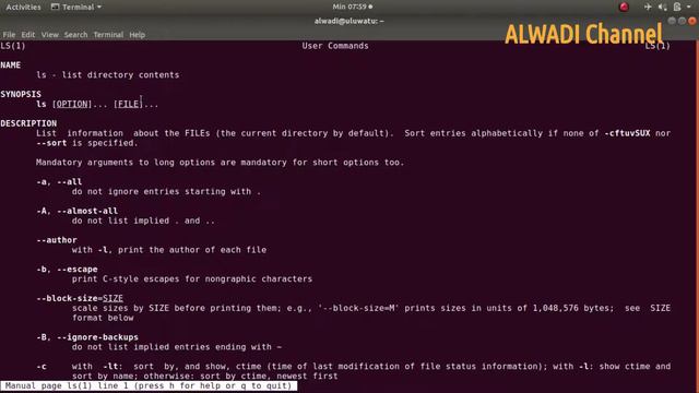 COMMANDLINE dir & ls | TERMINAL LINUX UBUNTU ETC смотреть онлайн