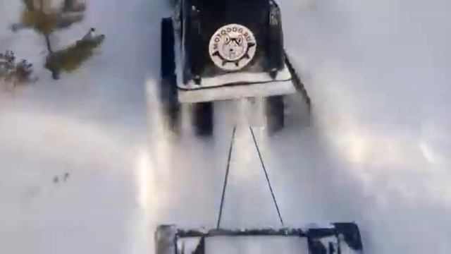 VID 20180110 WA0000 смотреть онлайн