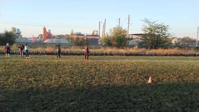 4 V   ЭЛАЙ из Дома Алленс (Ulkan v. Maikhus – Фанта из Дома Алленс) 24 +++