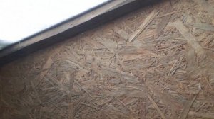 Домик для гусей....