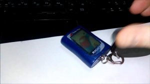 Глючит брелок Шерхан Магекар + Энигма