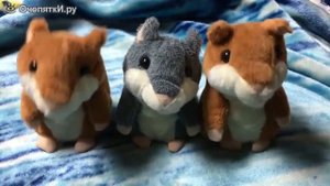 Говорящий хомяк-повторюшка