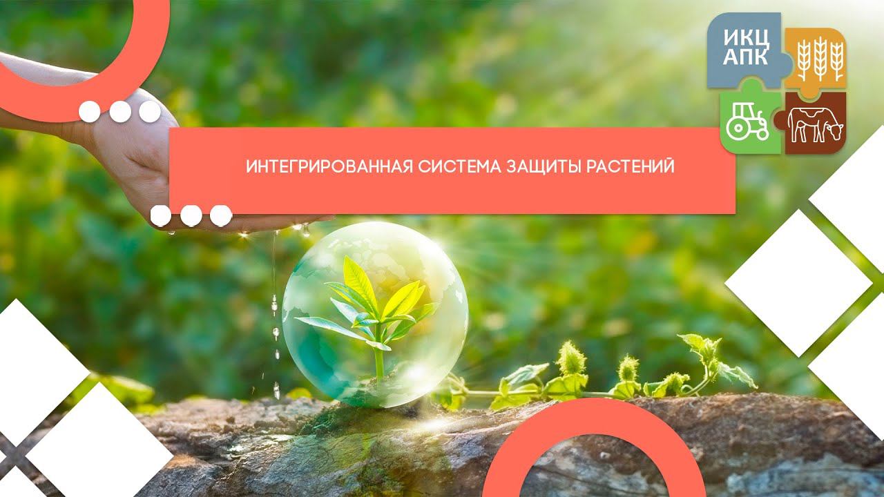 Запись семинара от 31 мая 2022 года