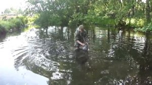 Умеют ли куры плавать?