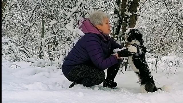 #VLOG ПЕРЕЕЗД НА ЮГ #Горячий_ключ. Краснодарский край//Зимний обзор//Зимняя сказка, предновогодняя смотреть онлайн