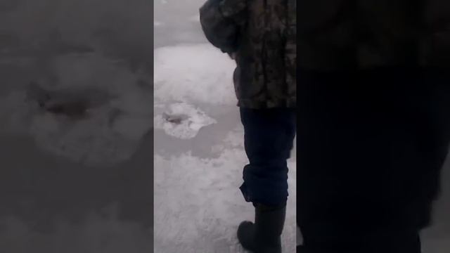 Рыбалка в Нижегородской области г. Лысково